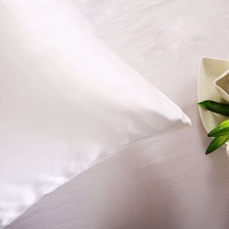 100% Nature Mulberry Silk Pill - Satin Pillowcase Silk 评论和价格